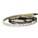 Striscia LED 24V-DC 96W 12mm RGBW IP20 (SMD5050) Rotolo da 5 metri
