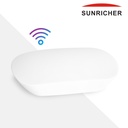 Sunricher WIFI to RF Converter - Perfect RF Series