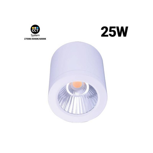CCT "GESS" plafondlamp COB 25W IP54