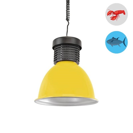LED-Lampen 30W speziell fir Fësch a Séifruichter