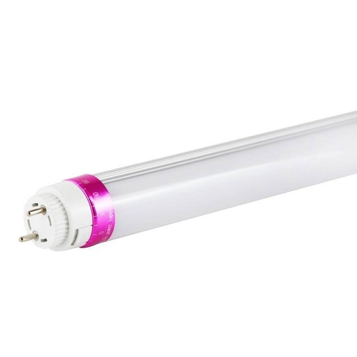 [B4009-60-CHA] LED buis T8 speciaal 60cm 10W