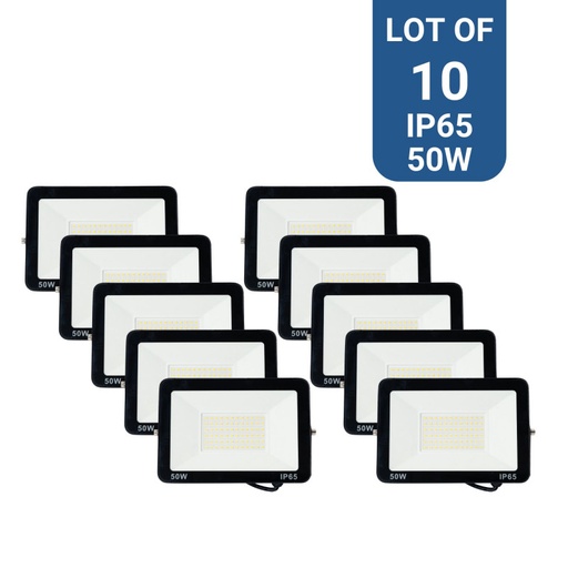 Pack of 10 outdoor LED floodlights 50W - 95lm/W - IP65
