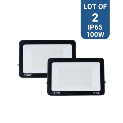 Confezione di 2 proiettori LED da esterno 100W - 95lm/W - IP65