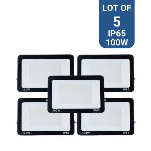 Pack of 5 outdoor LED floodlights 100W - 95lm/W - IP65