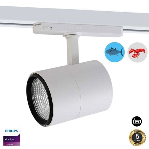 Trifazni LED projektor 30W posebno za ribu i plodove mora