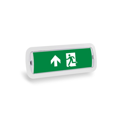 [K-B1050-UPARROW] KIT Pittogramma autoadesivo "Uscita in alto" + Luce di emergenza 3W