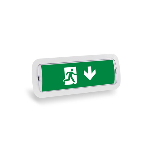 [K-B1050-DOWNARROW] KIT Self-adhesive pictogram "Down arrow" + 3W Emergency light
