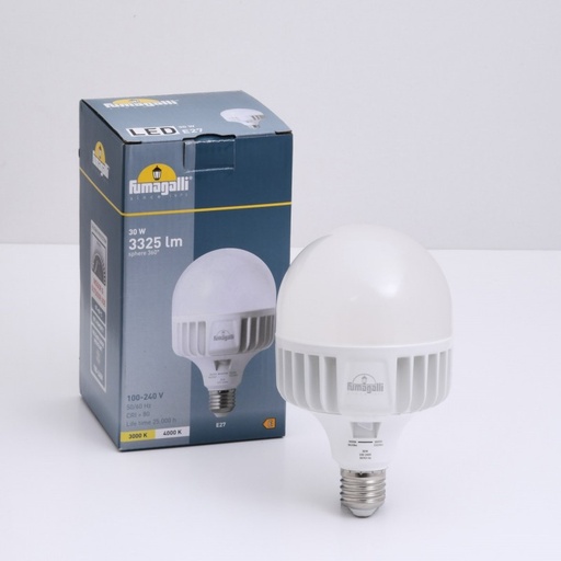 [H2.LED.HIP.CCT] Lampadina LED E27 ad alta potenza - 30W - CCT - Fumagalli - ø100mm