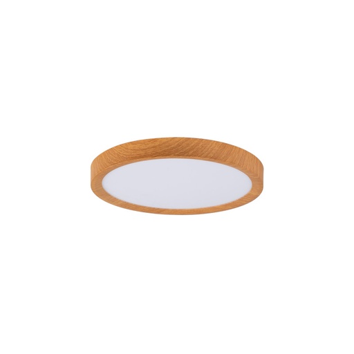 CCT 24W ronde LED plafondspot - IP40
