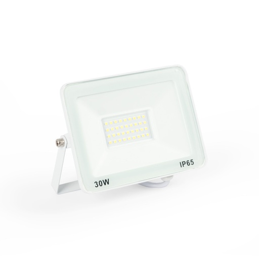 Vanjski LED projektor 30W - 95lm/W - IP65 - Bijela