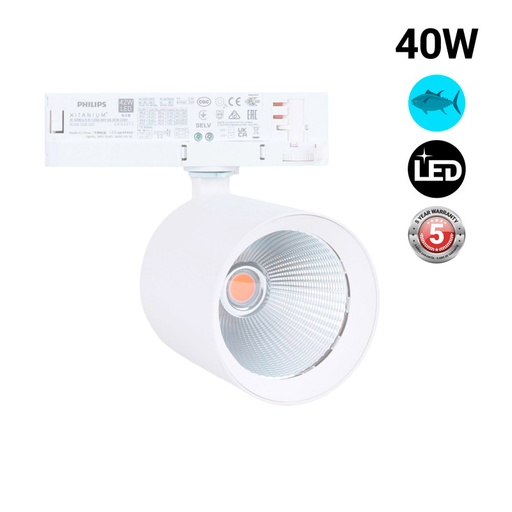 LED 3-phase track spotlight - 40W - Fish and Seafood - Philips Xitanium Driver