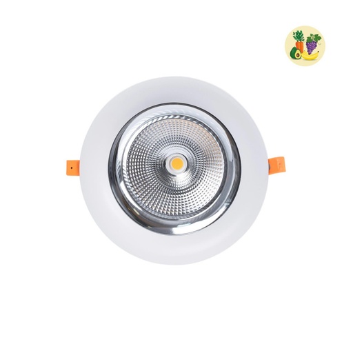 [B1260-1-FYV] LED-downlight spesielt for frukt og grønnsaker - 44W - Philips-driver - Kutte Ø210 mm