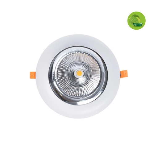 [B1260-1-VER] Faretto LED speciale per fruttivendoli - 44W - Driver Philips - Taglio Ø210mm