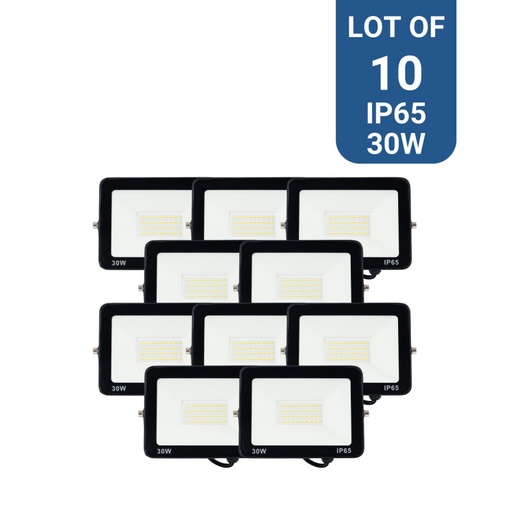 Pack x 10 - Fari a LED da esterno 30W - 95lm/W - IP65