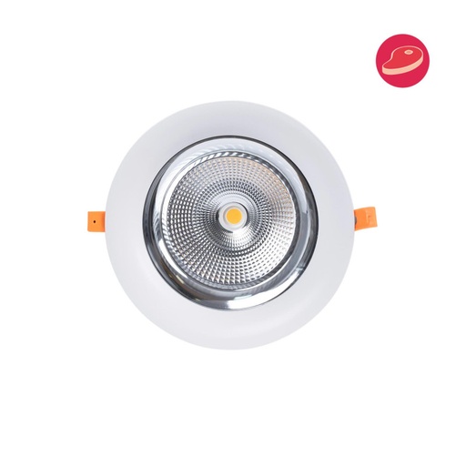 [B1260-1-CAR] LED downlight ειδικά για κρεοπωλεία - 44W - Driver Philips - Cut Ø210 mm