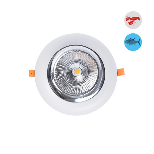 [B1260-1-PYM] LED mennyezeti lámpa különleges halfogó üzletek számára - 44W - Philips meghajtó - Ø210 mm vágás